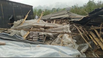 Tempat Pembibitan Jamur Roboh Akibat Hujan Deras Disertai Angin Kencang