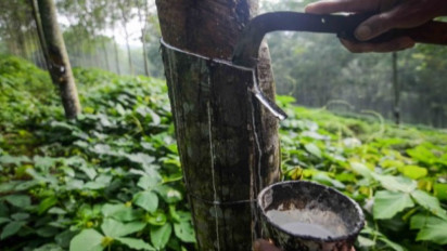 Bahan Baku Karet Menurun, Pabrik Terpaksa Impor dari Vietnam