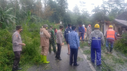 Angin Kencang Terjang Kabupaten Semarang, Pohon Besar Tumbang Timpa Rumah Warga