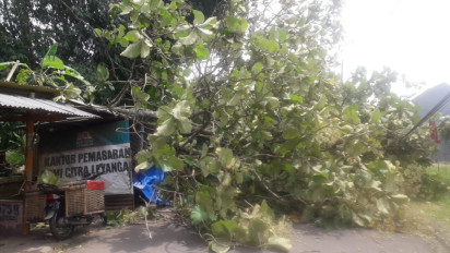 Waspada Hujan Deras Disertai Angin Kencang, BPBD Kabupaten Semarang Minta Warga Tanggap Bencana