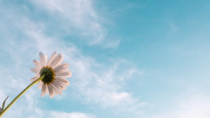 Ada Cinta Sebelum Surga