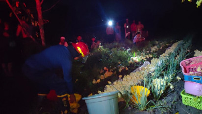 Kandang Ayam di Kobar Terbakar, Ratusan Anak Ayam Mati Terpanggang