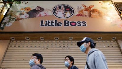 Tertular Covid-19, Hong Kong Akan Musnahkan 2.000 Hamster