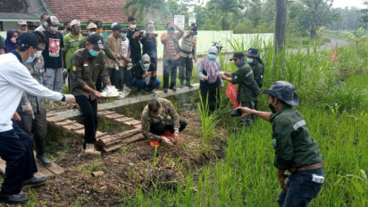 Akibat Kencing Tikus, Dua Warga Gunungkidul Terinfeksi, Satu Meninggal