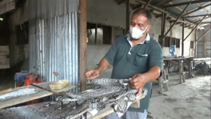 Perajin di Kobar Pasarkan Kulit Ular Hingga ke Eropa  