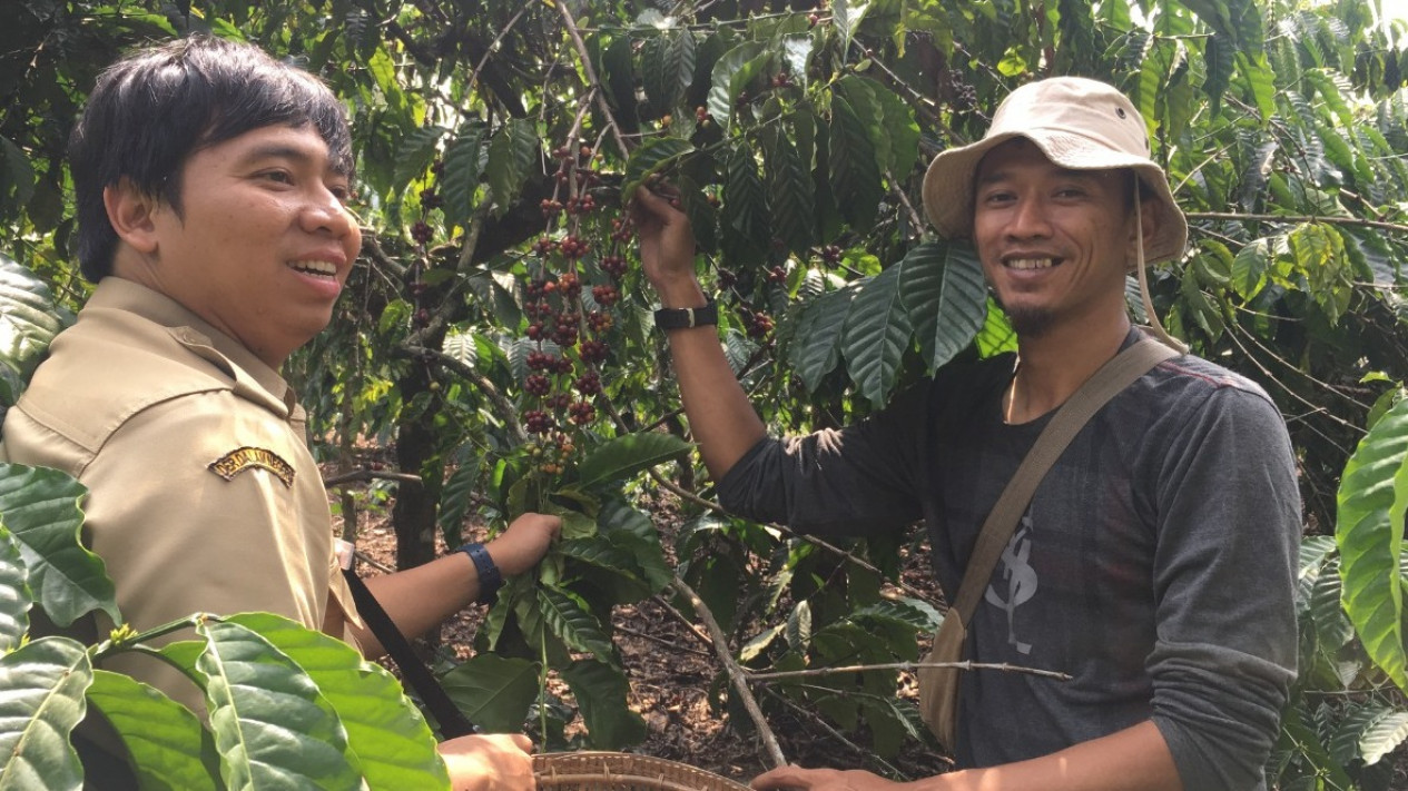 Kopi Robusta Asal Bogor Dinikmati Penggemar Kopi di Malaysia Sampai Belanda
            - galeri foto
