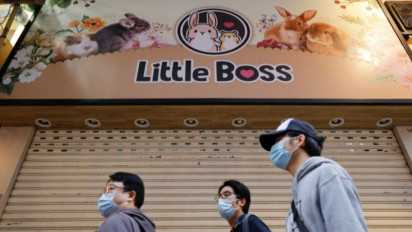 Warga Hong Kong Diminta Tidak Menghalangi Pemusnahan Hamster