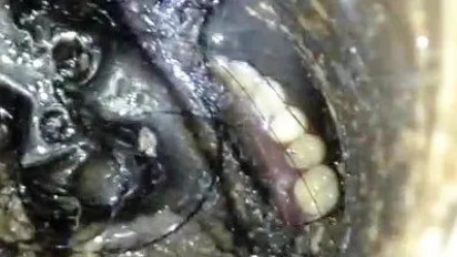 Gigi Palsunya Copot dan Masuk Saluran Pembuangan, Lelaki di Rawamangun Panggil Satu Pasukan Damkar