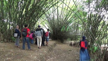 Sejuknya Taman Wisata Bambu Baturaden Membuat Wisatawan Betah