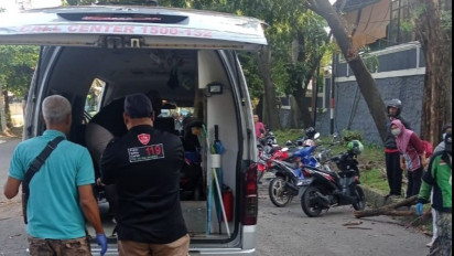 Pohon Tumbang di Kawasan Candi Semarang Timpa Pemotor yang Lewat