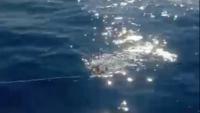 Ini Detik–detik Anggota Polres Tanimbar Selamatkan Penumpang KM Leuser yang Melompat ke Laut