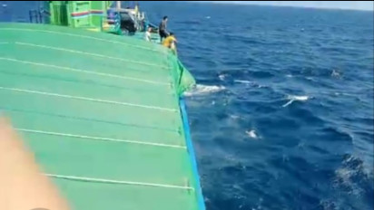 Seorang Korban Kapal Tenggelam Terapung-apung di Laut Selayar, Diselamatkan Kapal yang Melintas