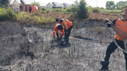 Kebakaran Lahan Landa Empat Wilayah di Sampit Kalimantan Tengah Akibat Cuaca Panas