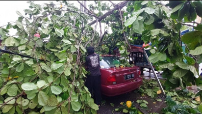 Puting Beliung Rusak Puluhan Rumah Warga, Empat Unit Mobil Tertimpa Pohon di Banjar Jawa Barat