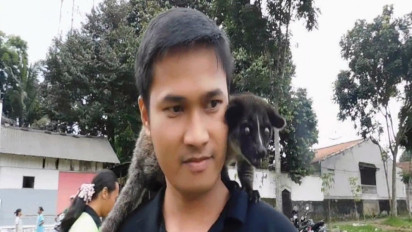 Komunitas Pecinta Musang Purwokerto, 'Hewan Kelicikan' Ini Ternyata Lucu