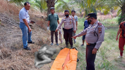 Seorang Petani Sawit Tewas Diduga Diinjak Gajah Liar Saat Memanen