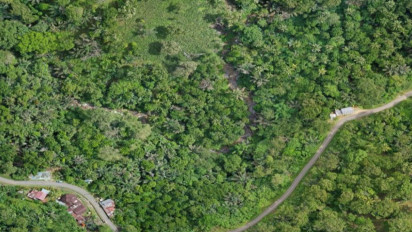 Pemerintah Berencana Tambah Pembangkit Bioenergi Hingga 600 Megawatt