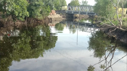 Sungai Salupangkang di Mamuju Tengah Diduga Tercemar Limbah Pabrik, Pemilik Tambak Ikan Resah