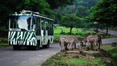 Pemain Sirkus Jadi Korban Eksploitasi dan Kekerasan, Komisi III DPR Minta Polisi Periksa Taman Safari