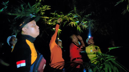 Dalam Sebulan Damkar Kulon Progo Evakuasi Tiga Sarang Tawon yang Serang Warga