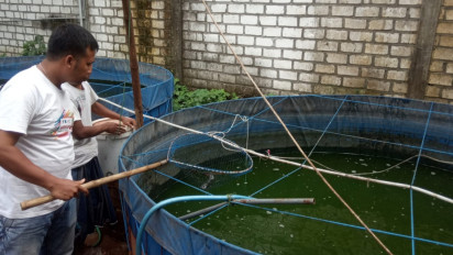 Bangkit dari Pandemi, Anak Nelayan di Gresik Sukses Budidaya Lele dengan Kolam Terpal