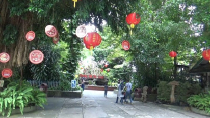 Libur Imlek, Kebun Binatang Gembira Loka Yogyakarta Berhias Lampion dan Bunga Sakura