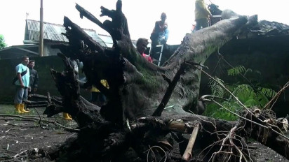 Hujan Disertai Angin Kencang, Belasan Pohon di Bantul Tumbang