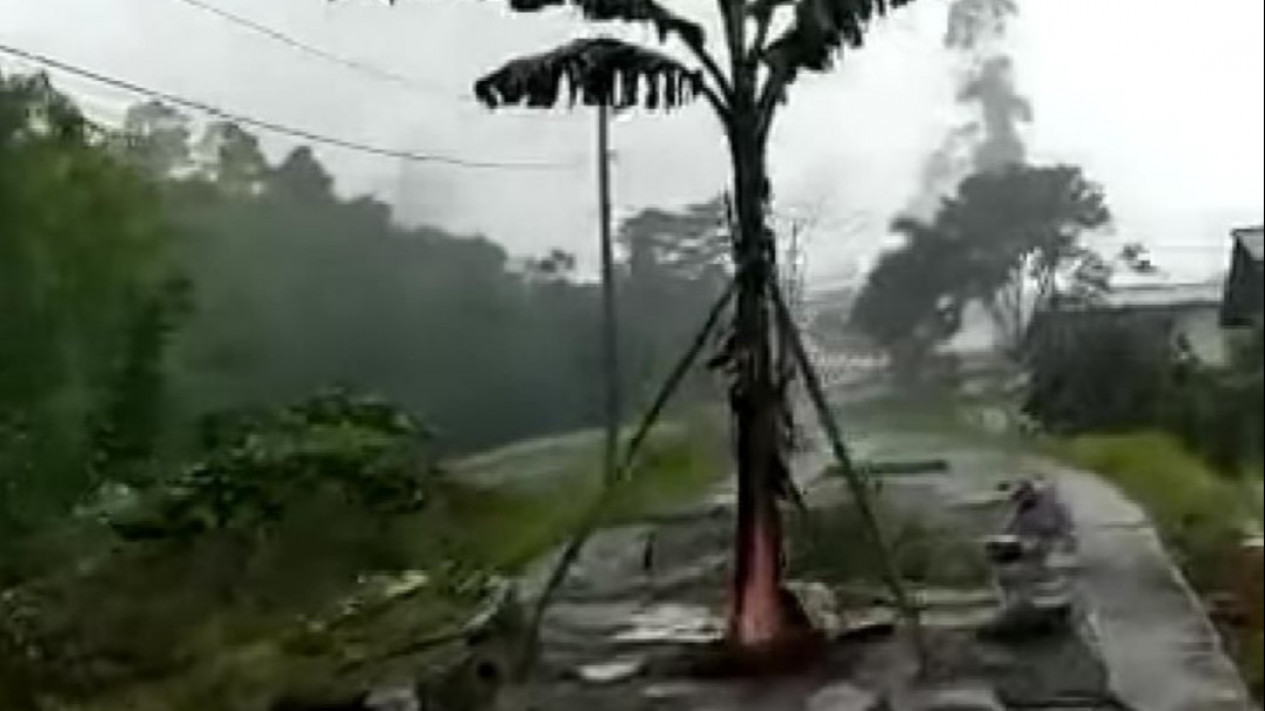 Protes Jalan Rusak di Jalur Evakuasi Gunung Slamet, Warga Tanami Pohon Pisang
            - galeri foto