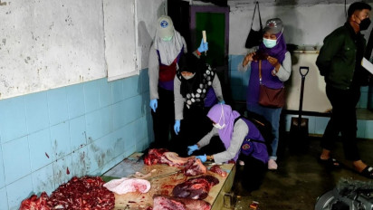 Antisipasi Penyebaran Antraks di Gunungkidul Yogyakarta, Dinas Sidak TPH