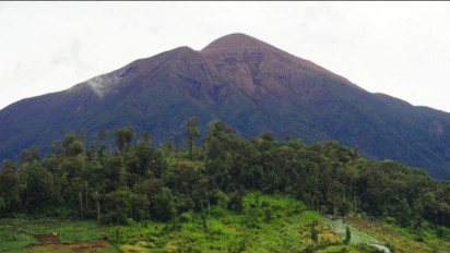 BPPTKG: Indonesia Alami 150 Erupsi Gunung Api