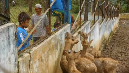 Yuk Rekreasi Edukatif! Melihat Rusa di Lokasi Penangkaran Konvensional dan Modern