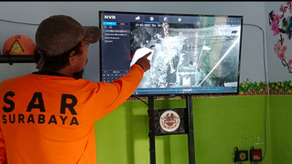 Penampakan Satwa Diduga Macan Kumbang Turun dari Gunung Semeru, Terekam Kamera Pemantau