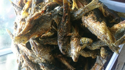 Menikmati Gurih Manis Ikan Melem Goreng Langsung di Tepi Kali Benjaran Purwokerto 