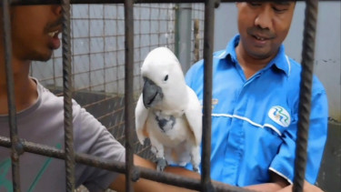 Asyiknya Bercengkerama bersama Keluarga sambil Melihat Aneka Burung di Istana Burung Purbalingga