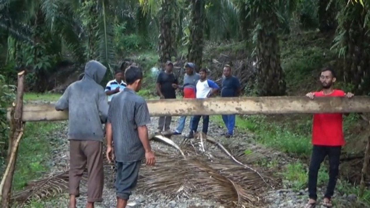 300 Hektare Lahan Dirampas Perusahaan Sawit, Puluhan Warga Blokir Jalan
            - galeri foto