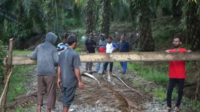 300 Hektare Lahan Dirampas Perusahaan Sawit, Puluhan Warga Blokir Jalan