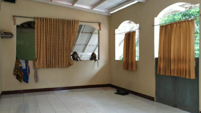 Kawanan Kera Liar Kembali Teror Pemukiman Warga di Kabupaten Kuningan, Sejumlah Rumah dan Tempat Ibadah Rusak