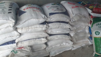 Petani di Aceh Tenggara Keluhkan Pupuk Subsidi Langka, Oknum Distributor Diduga Bermain