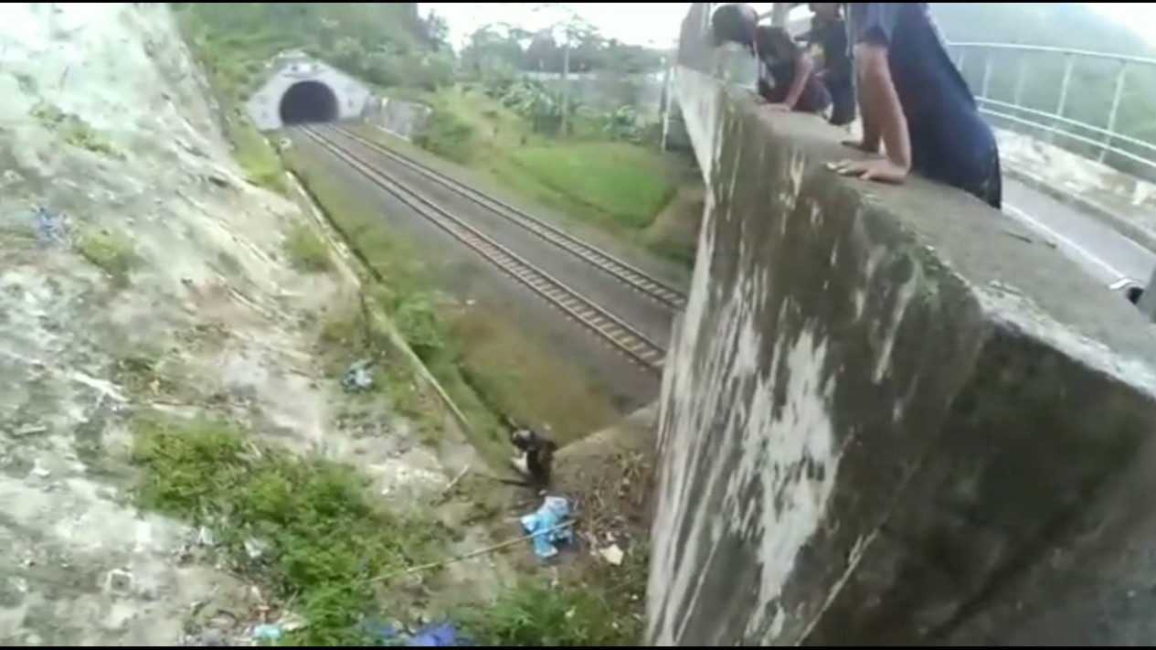 Viral Video Pemotor Jatuh di Jembatan Overpass Jalur KA Rel Ganda Banyumas
            - galeri foto