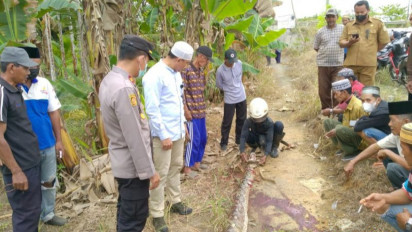 Nahas! Saat BAB Nenek 90 Tewas Dililit Ular Piton Sepanjang Enam Meter
