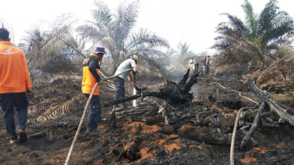 Lima Hektare Lahan dan Hutan Terbakar di Nagan Raya