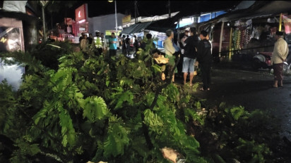 Pohon Tumbang Timpa Sejumlah Warung dan Pengendara Motor di Pandeglang Akibat Hujan Disertai Angin Kencang