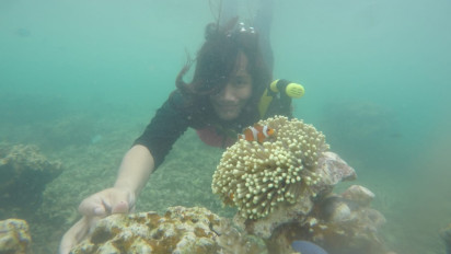 Walhi : Wisatawan Jangan Rusak Ekosistem Terumbu Karang di Pulau Pahawang