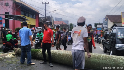 Pohon Tumbang di Sukabumi, 2 Orang Masuk Rumah Sakit