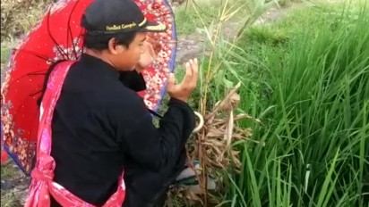 Tradisi Mapag Tamba, 9 Mata Air Suci Dibawa Keliling Desa Ritual Terhindar Dari Wabah
