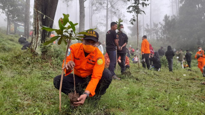 Cegah Longsor, SAR dan 1.001 Pendaki Tanam Pohon di Gunung Ungaran