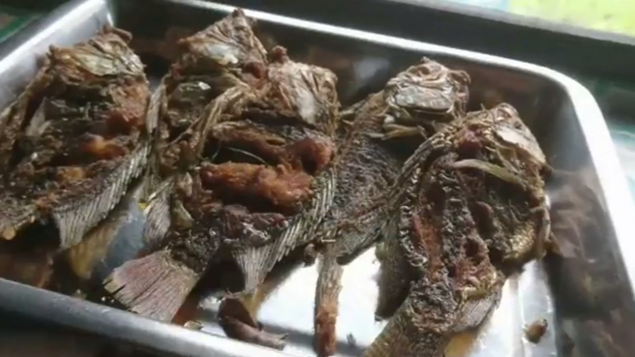 Ini Dia Ikan Goreng Sambal Terasi yang Legendaris Sejak 1970 di Banyumas
            - galeri foto