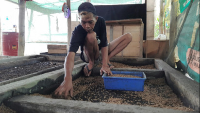 Warga Boyolali Sukses Budi Daya Maggot dengan Omzet Puluhan Juta Rupiah