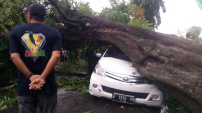 Hujan Angin, Mobil Berisi Bapak dan Anak Tertimpa Pohon Tumbang saat Melintas