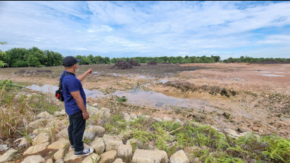 Aksi Perusakan Hutan Mangrove Marak di Batam